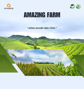 Farm Stay